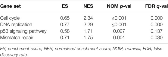 Por Rac3 Expression And Its Clinicopathological Significance In Patients With Bladder Cancer