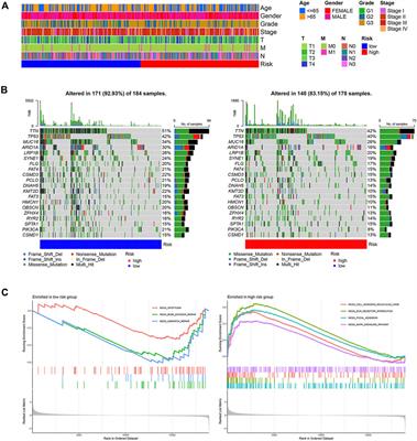 Characterization of long noncoding RNA and messenger RNA signatures in  melanoma tumorigenesis and metastasis